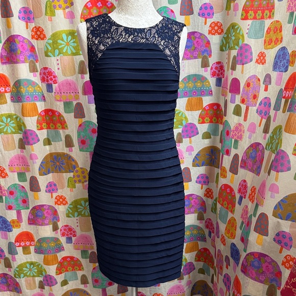 Adrianna Papell Sleeveless Zip Back Dress with Lace. Size 6 - Picture 1 of 13